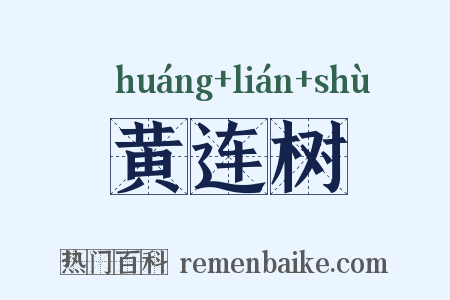 黄连树是什么意思的图片